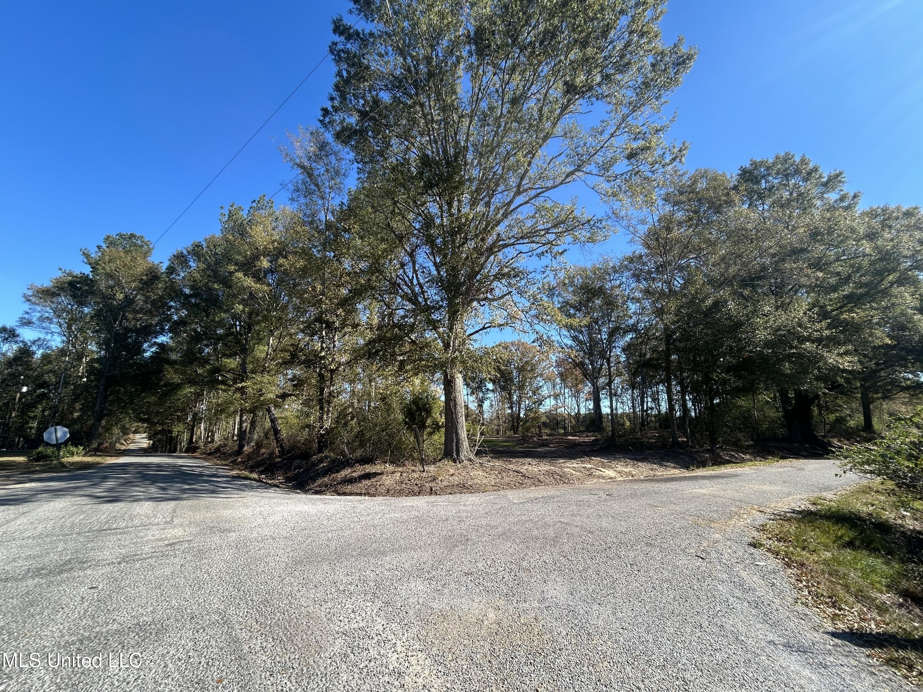Mendenhall Land with Mature Trees