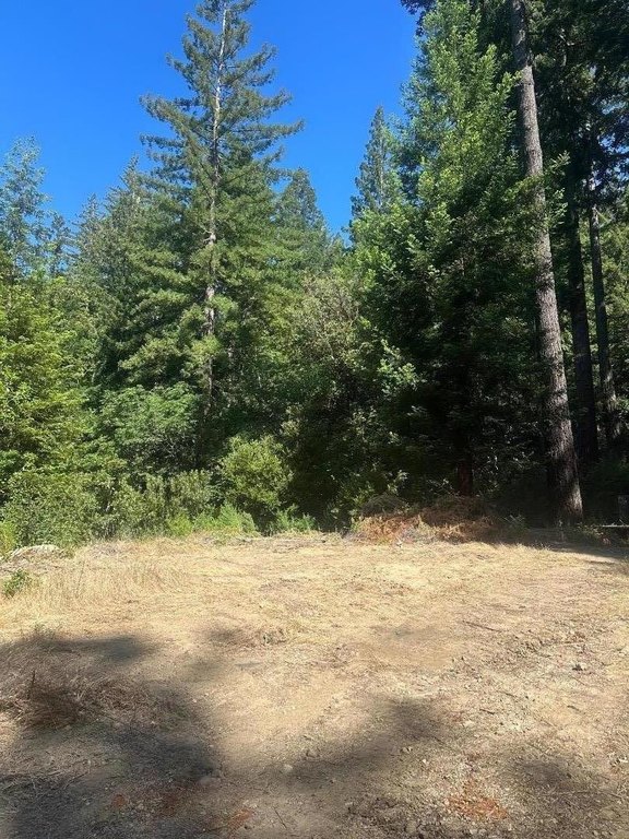 Picture 13