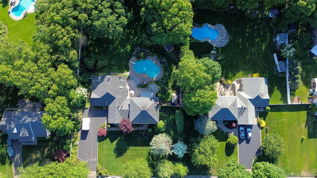 Picture 49