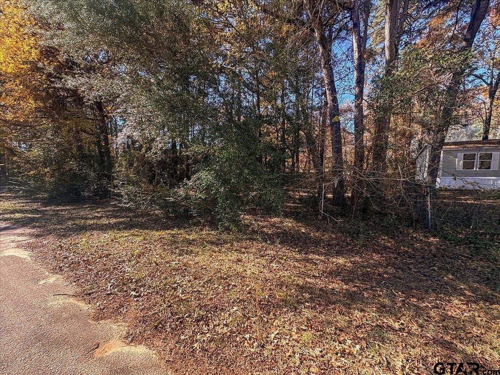Picture 5