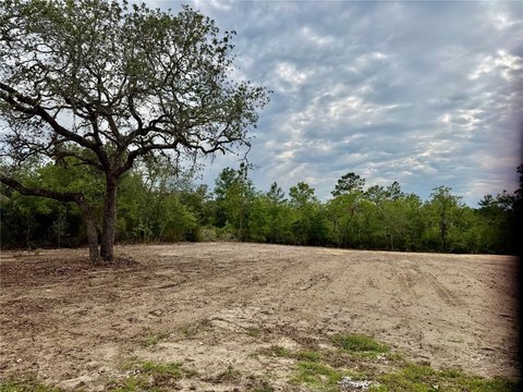 Cleared 1.25 Acre Lot