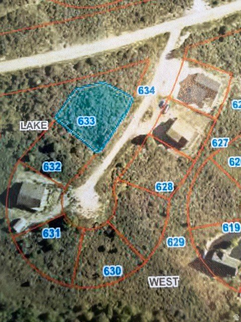 Picture 9