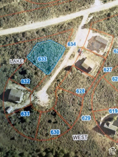 Picture 9