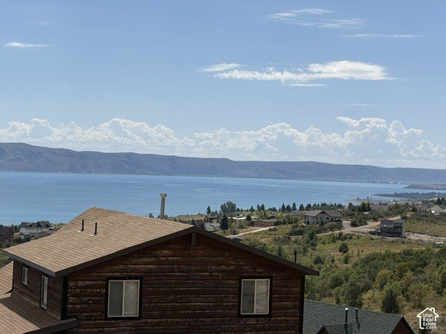 Picture 8