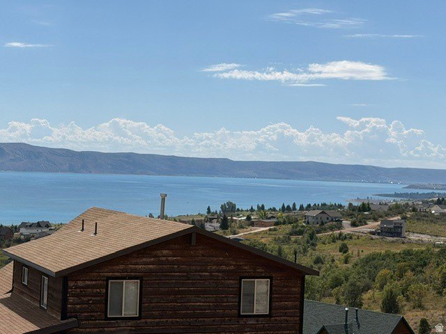 Picture 8
