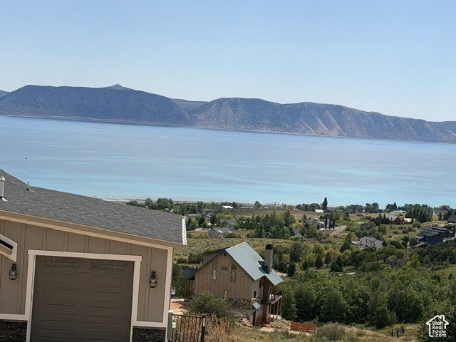 Picture 7