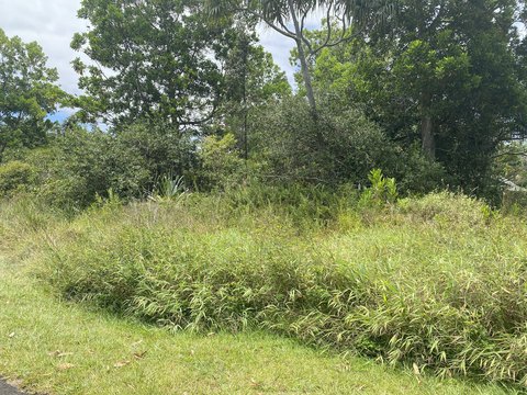 Gated Access Agricultural Lot