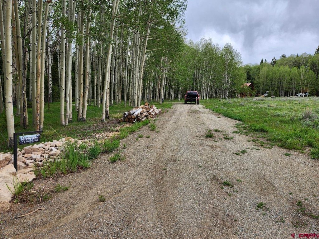 Picture 4