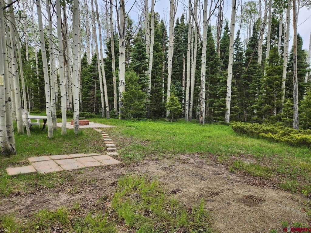 Picture 7