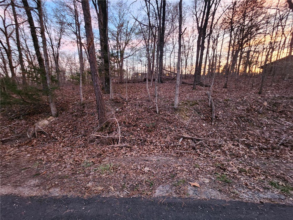 Residential Lot Near Lake Ann