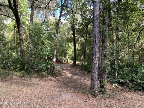 Wooded Acreage in Florahome, Florida