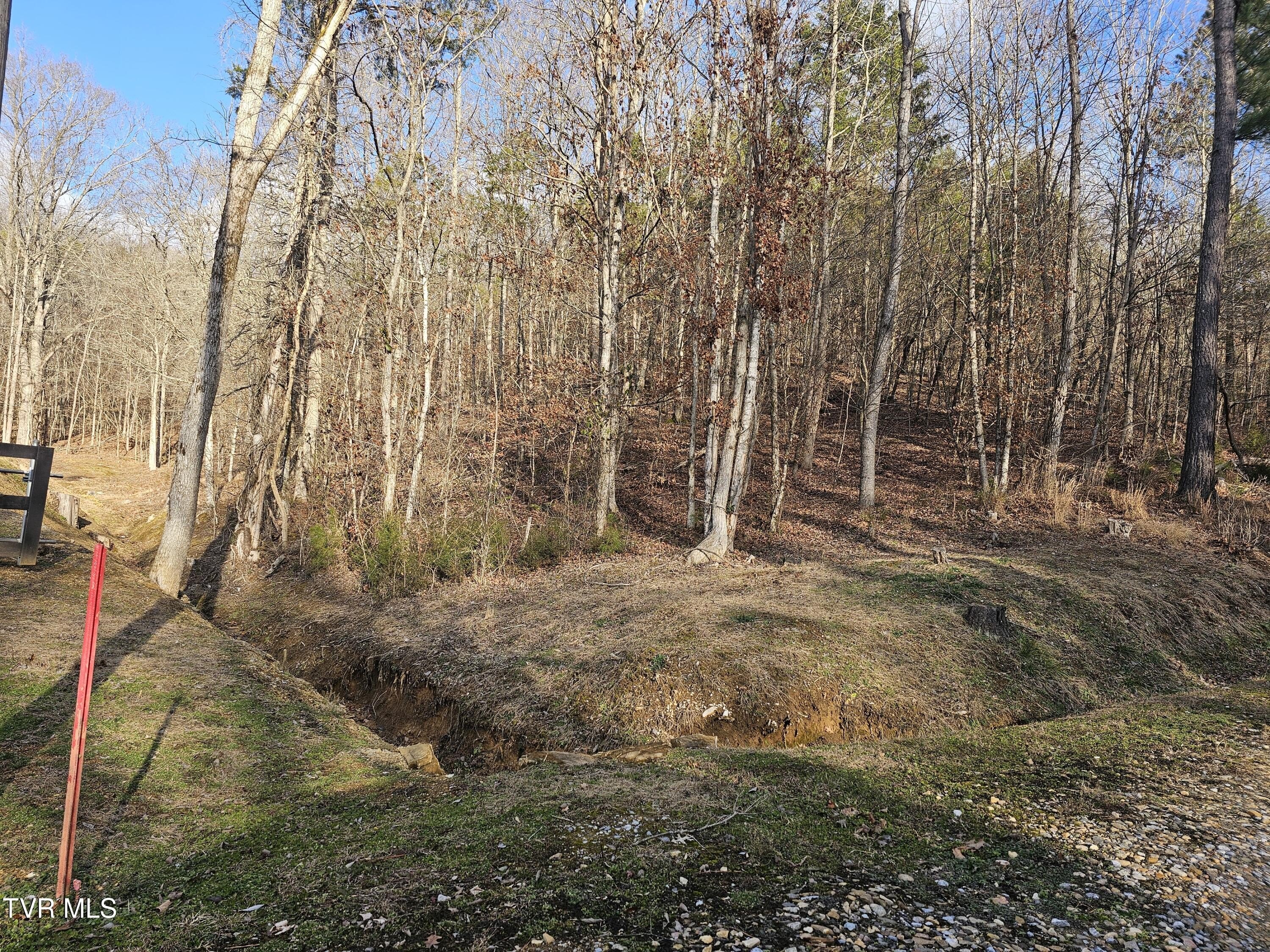 Unrestricted Acreage Near Douglas Lake