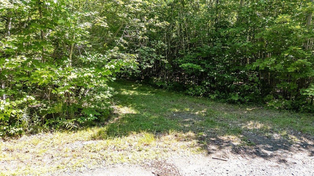 Picture 21