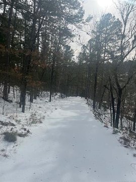 Creekfront Land in Kiamichi Wilderness