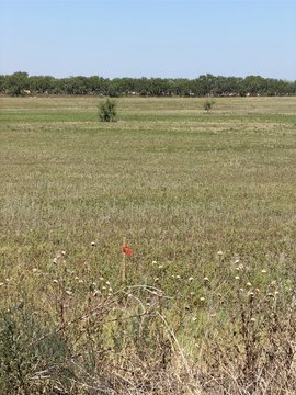 Residential Land Lot Opportunity