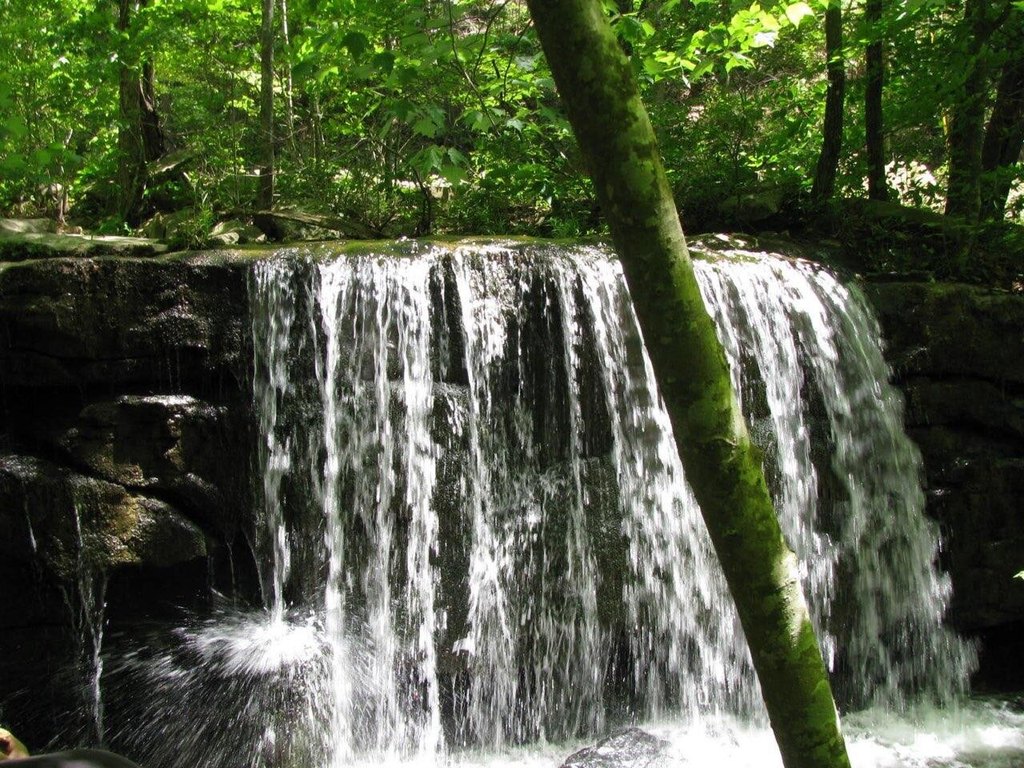 Picture 5