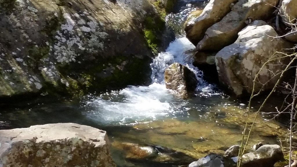 Picture 4