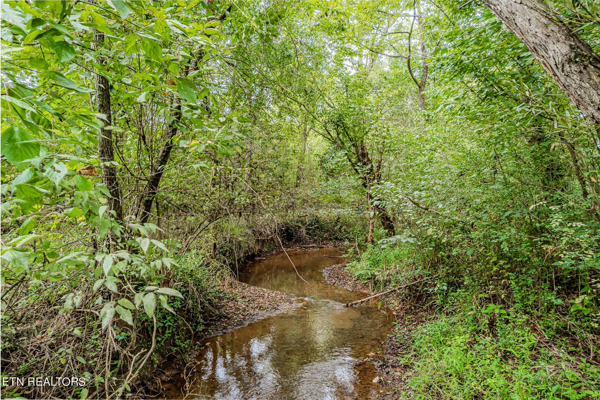 Unrestricted Land Near Eureka Trails