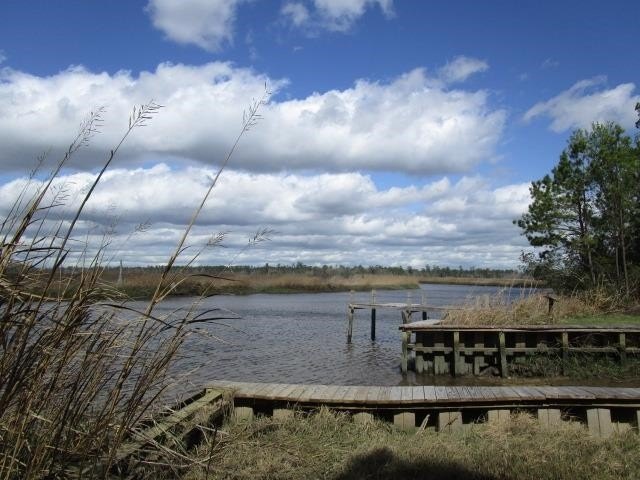 Picture 29