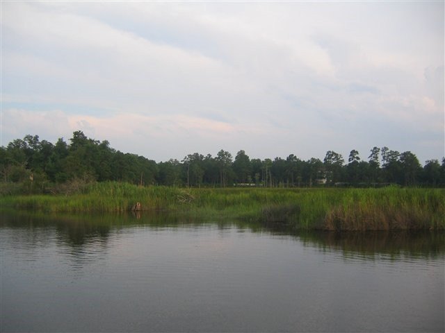 Picture 17