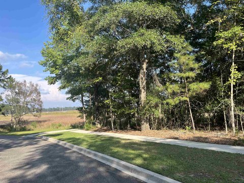 LAND, Georgetown, SC