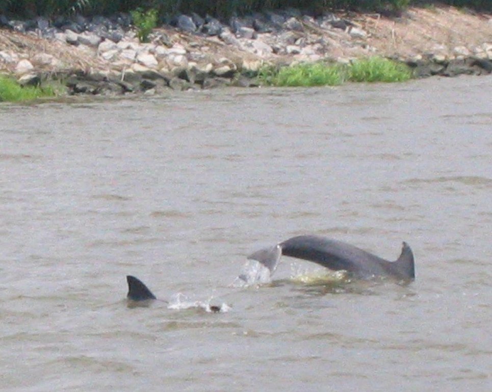 Picture 21