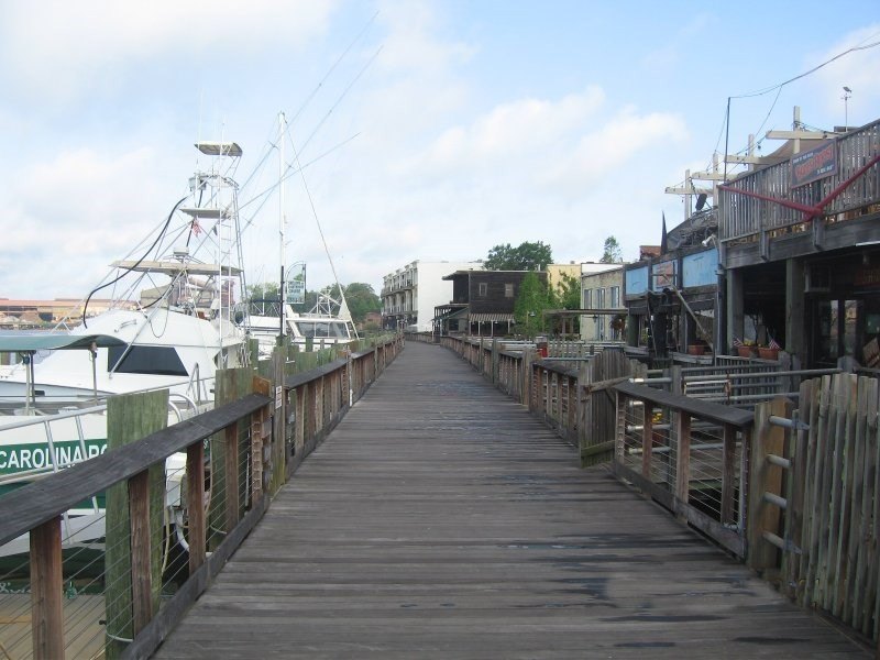 Picture 25
