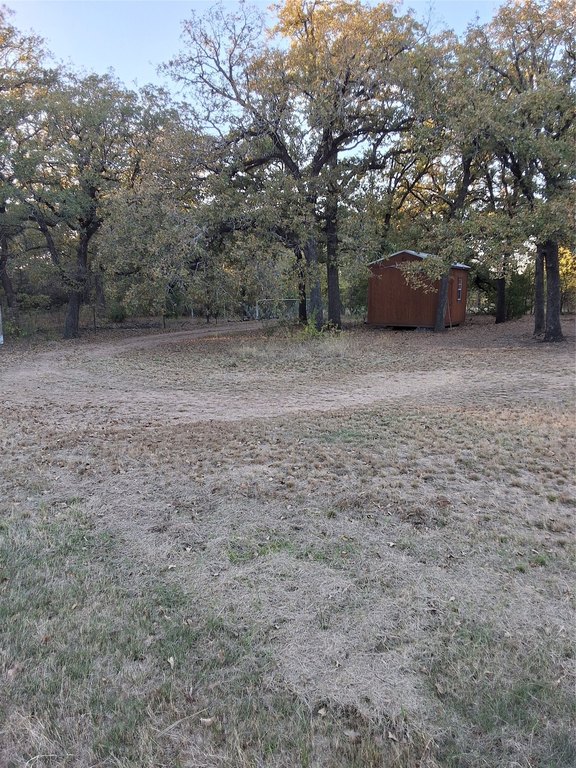 Picture 9