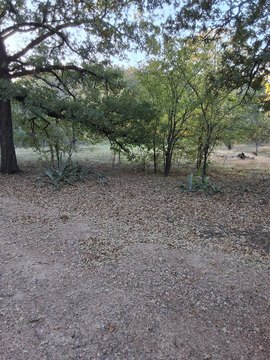 Land with Mature Oak Trees