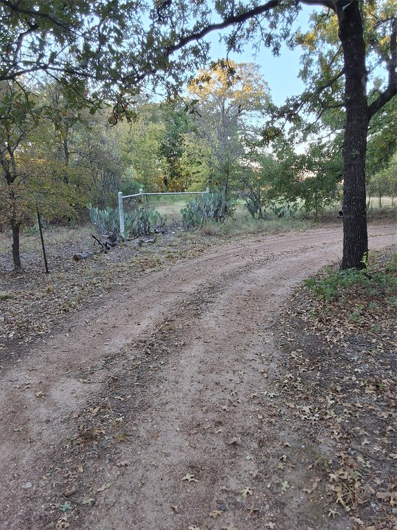 Picture 10