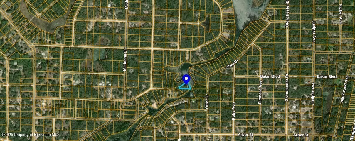 Vacant Land in Webster, FL