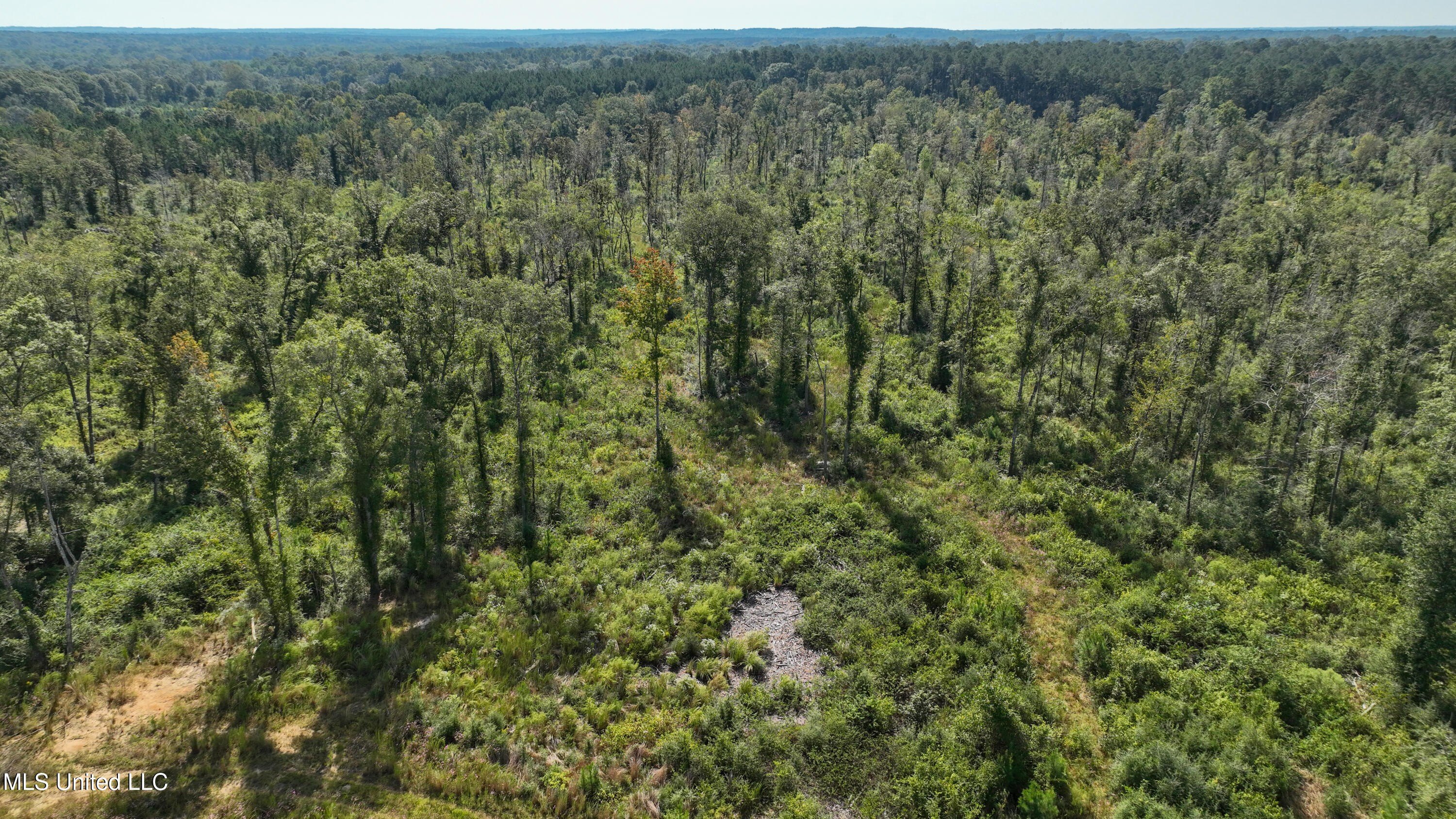80 Acres in Tylertown, MS