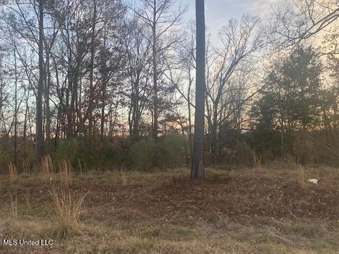 Residential Land in Ridgeland, MS