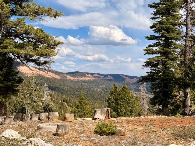 Duck Creek Village Buildable Land