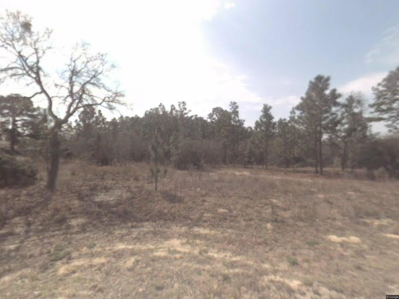 Citrus Springs Land For Sale