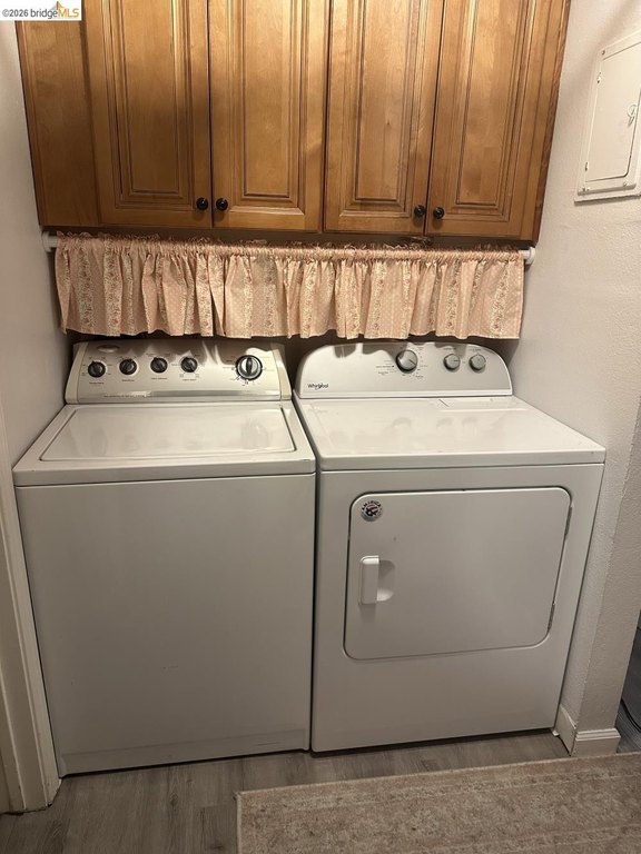 Picture 17
