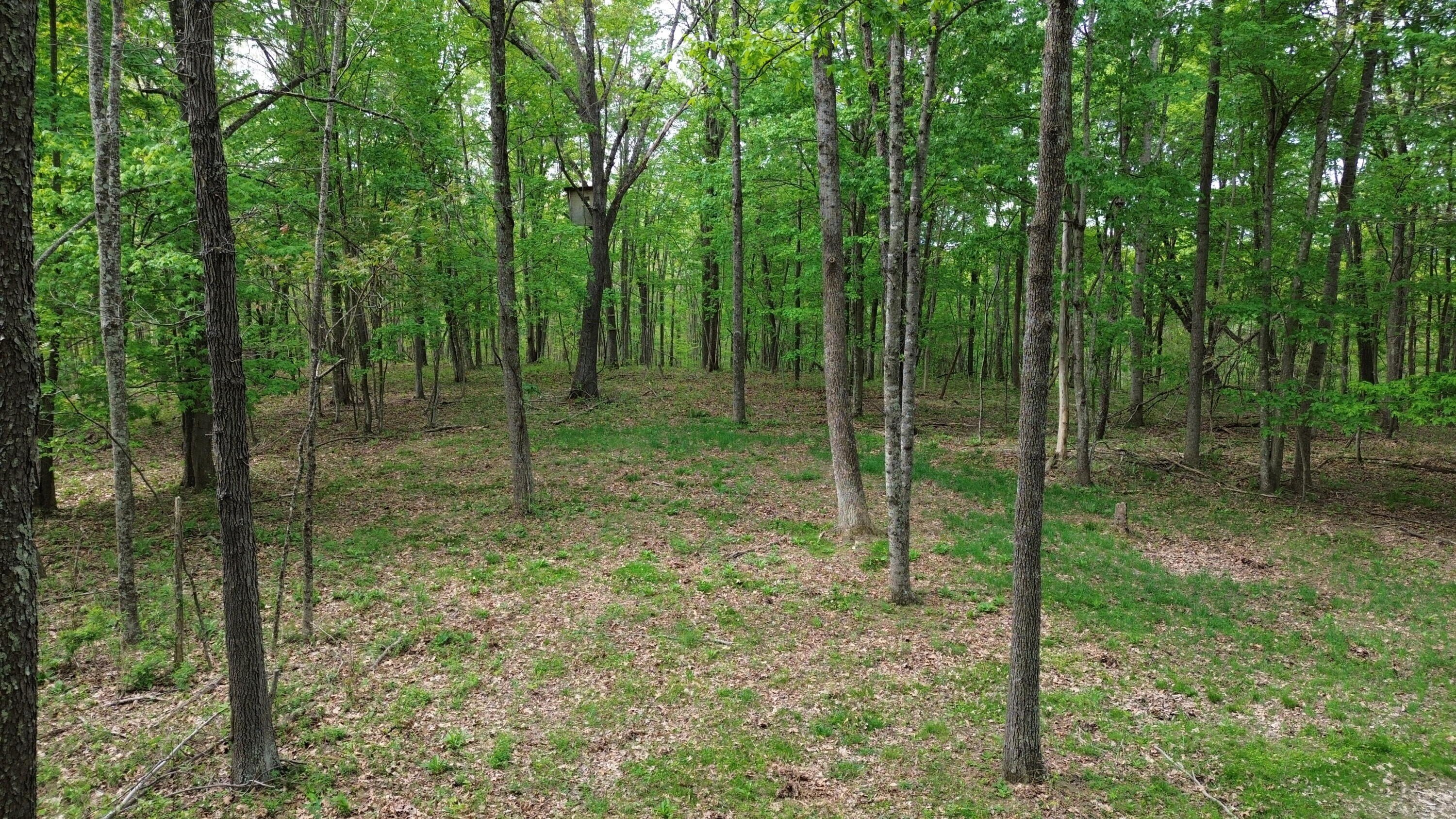 Kentucky Hunting, Timber & Recreational Land