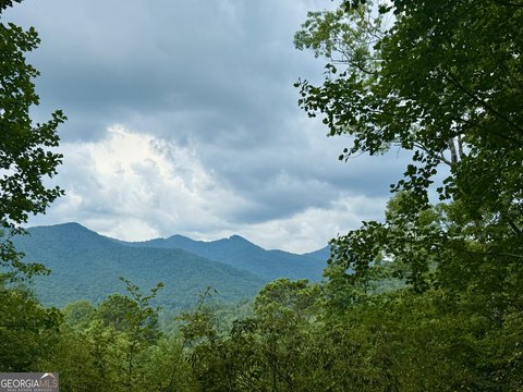 Dillard, GA Home Lot