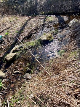 Half Acre Lot Near Creek