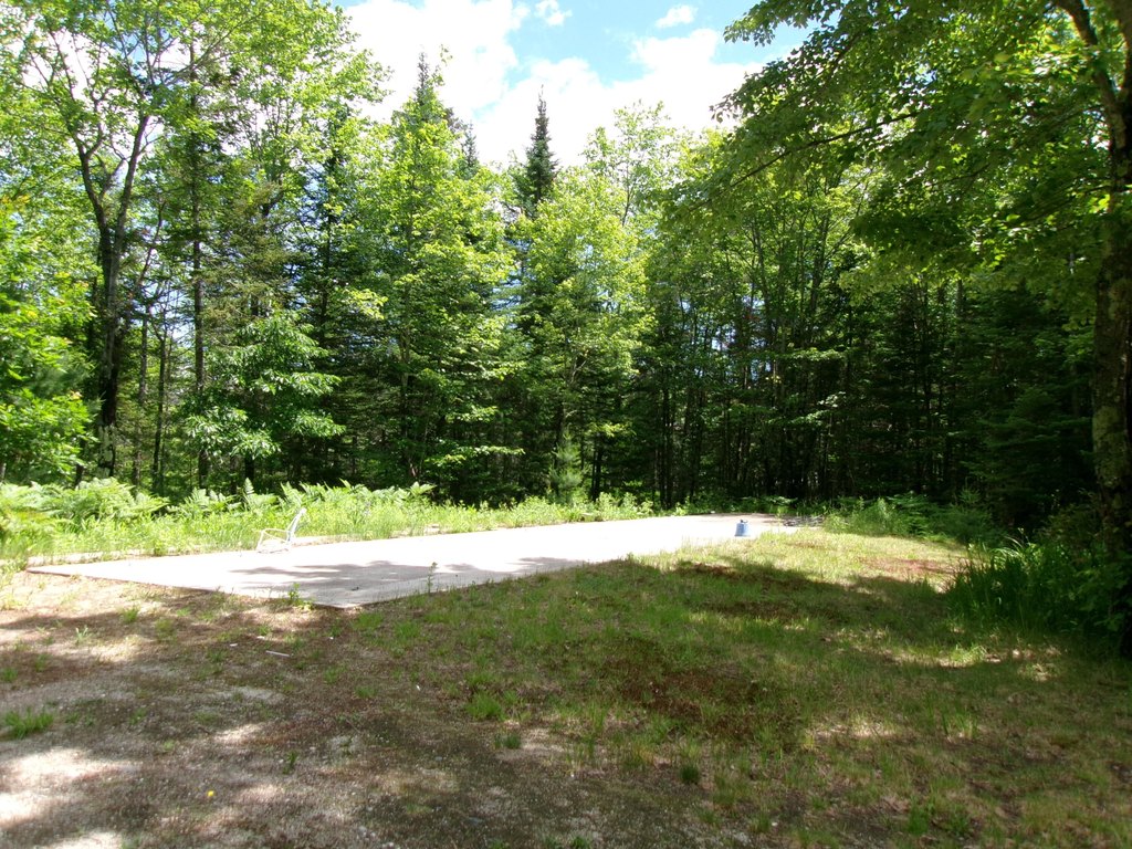 Picture 2