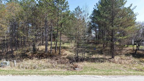 Wooded Land in Sugar Springs