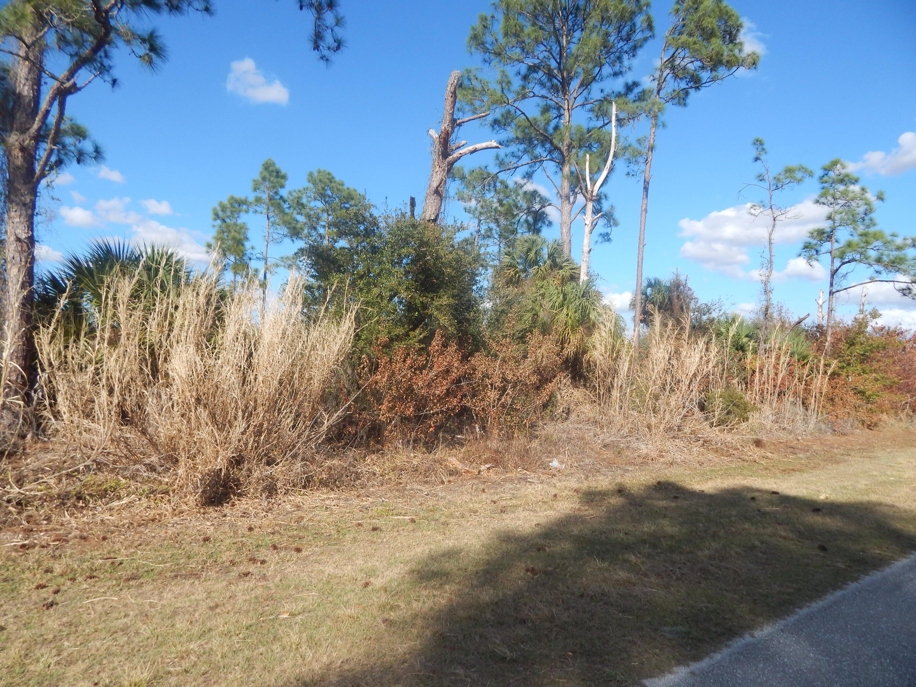Residential Land in Montura Ranches