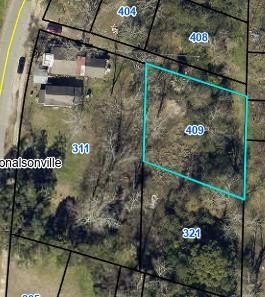 Residential Lot in Donalsonville, GA
