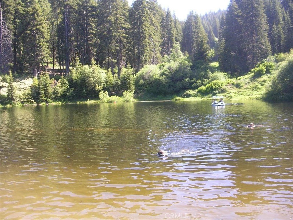 Picture 8