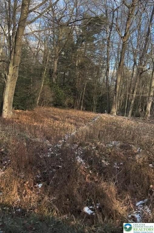 Land Near Hickory Run Park