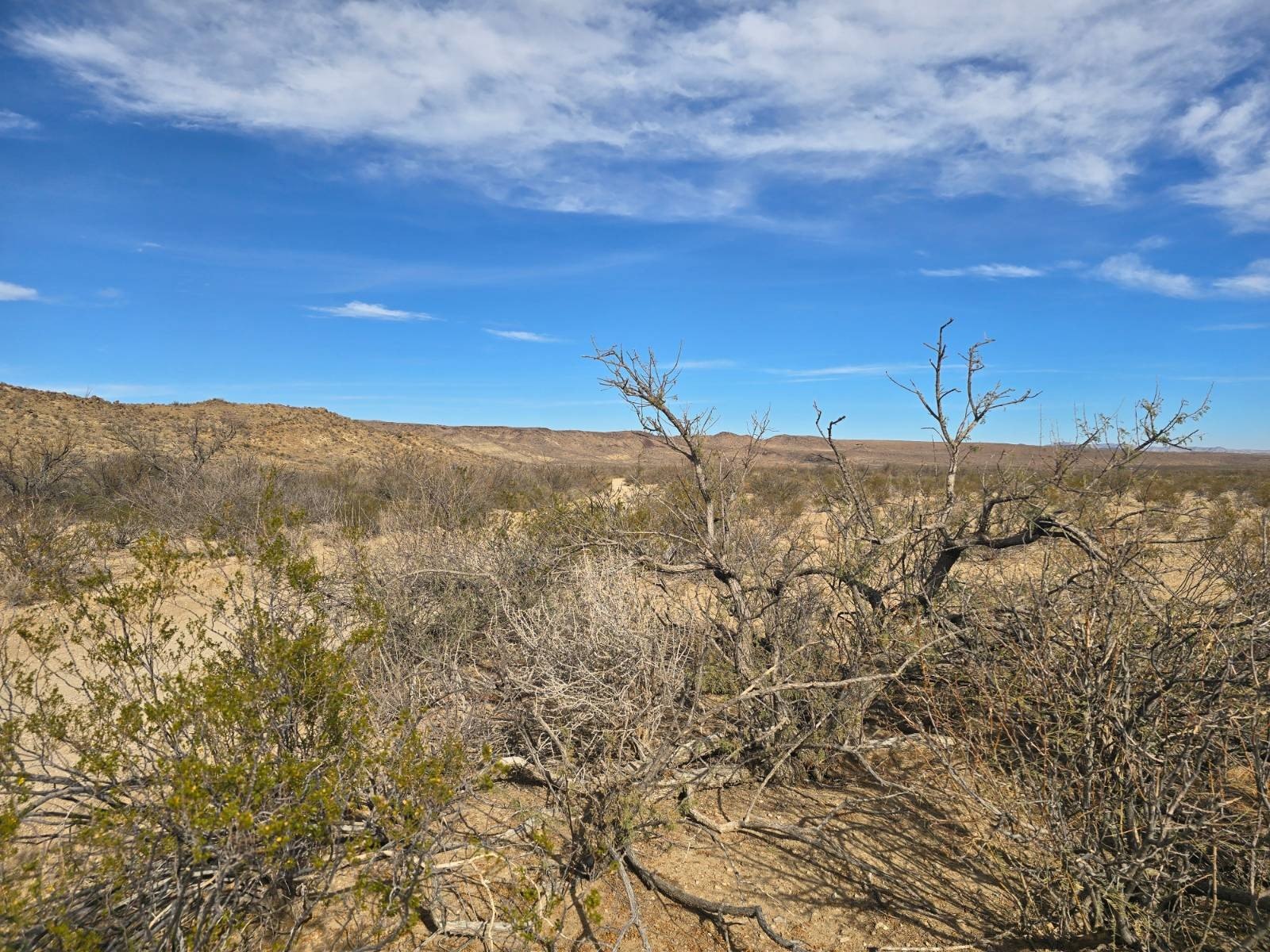 25 Acres of Vacant Land