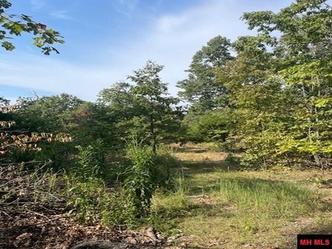 55 Acres Overlooking the Ozarks