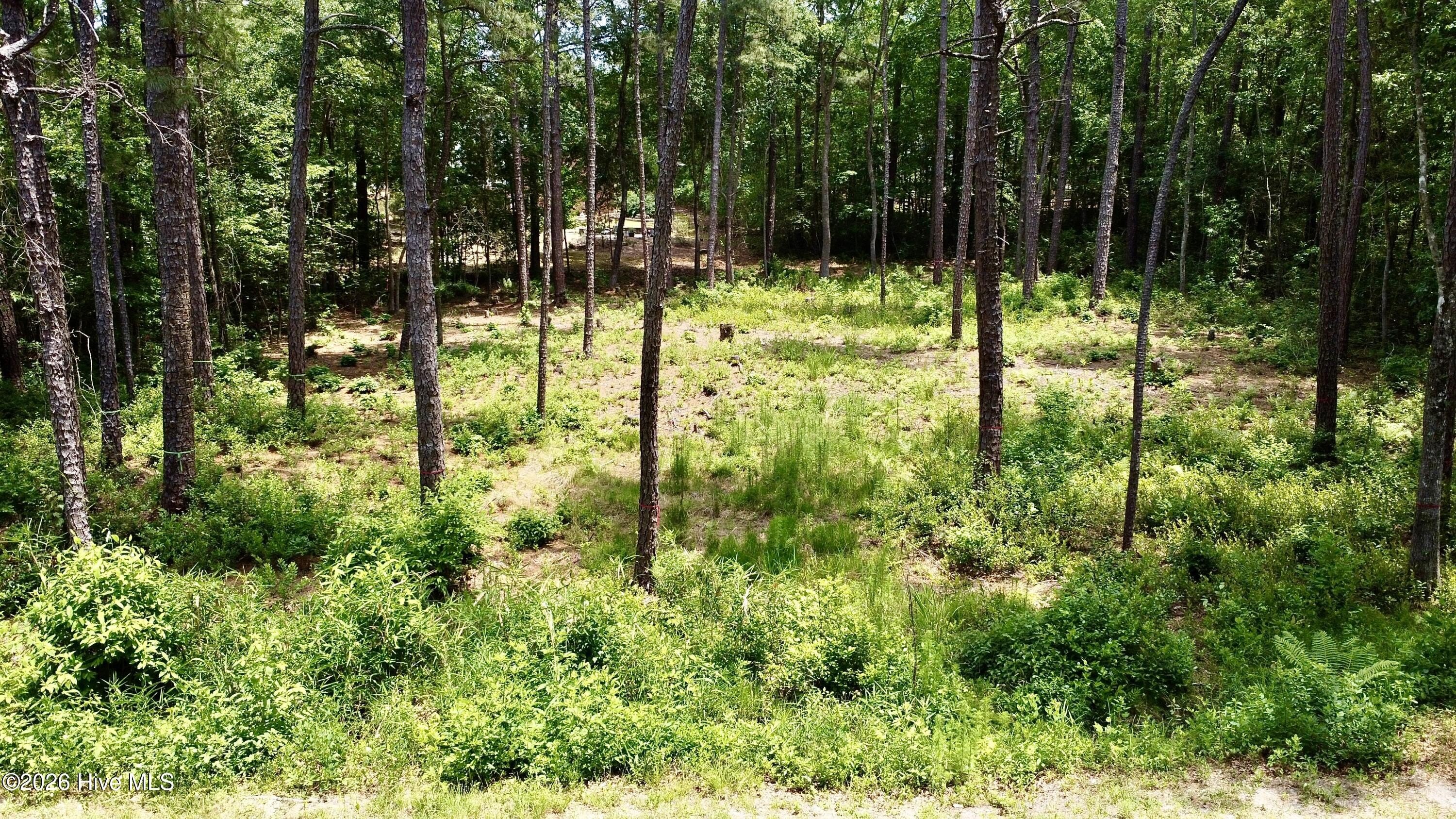 Pinehurst Residential Land For Sale