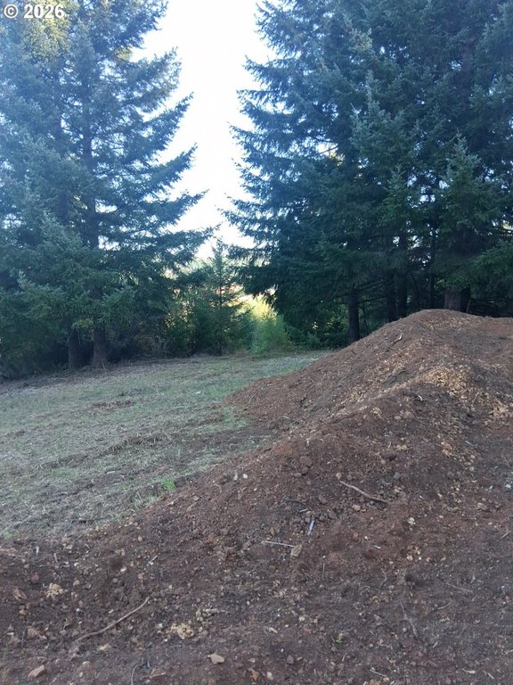Picture 13
