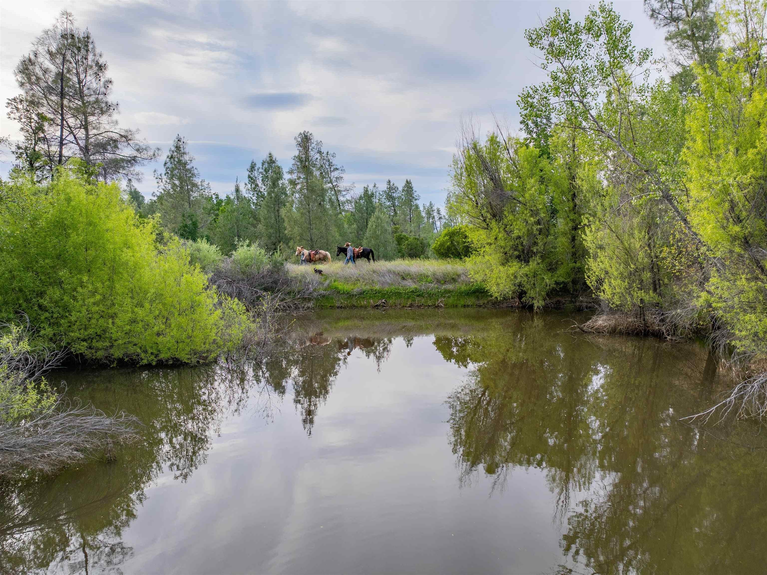 480 Acres Little Crane Creek Ranch